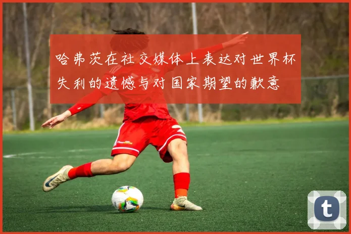 哈弗茨在社交媒体上表达对世界杯失利的遗憾与对国家期望的歉意