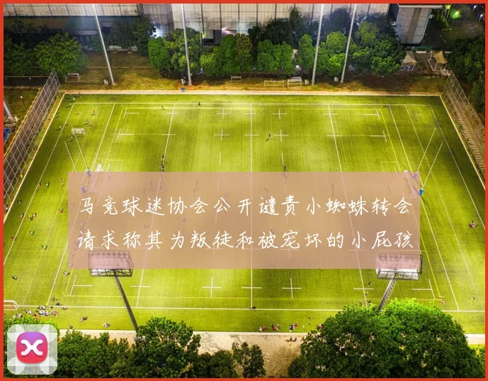 马竞球迷协会公开谴责小蜘蛛转会请求称其为叛徒和被宠坏的小屁孩