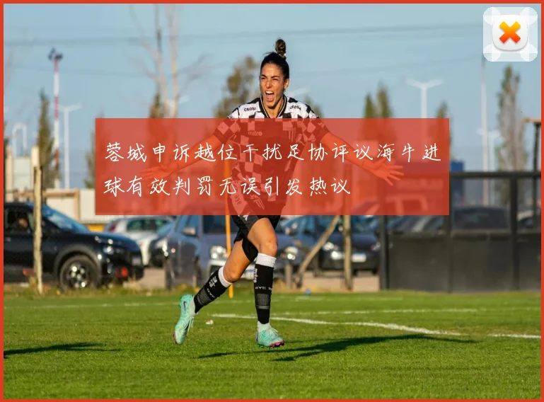 蓉城申诉越位干扰足协评议海牛进球有效判罚无误引发热议